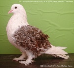 rotfahl-schildig 1,0 alt v97 SV