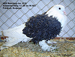 schwarzschildig 0,1 alt hv96 SE2